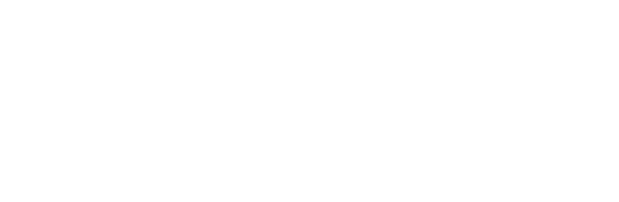 toyota_w